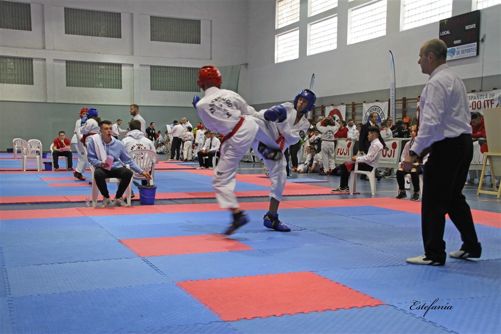 Copa Seul 2018 (521).jpg